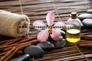 Trang trí tiểu cảnh nhỏ spa bằng sỏi đen bóng