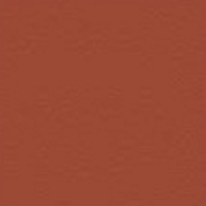 Gạch lát trang trí C12