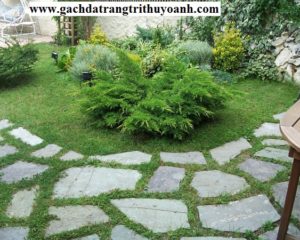 Sân vườn được lát xen kẽ giữa cỏ và đá chẻ tự nhiên