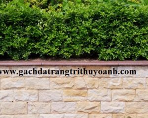 Tạo ấn tượng cho chậu cảnh bằng đá bóc hồng