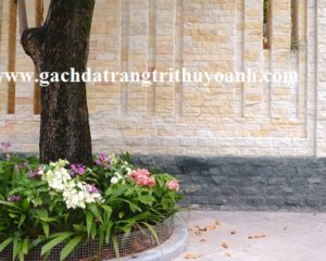 Ốp chân tường xung quanh nhà bằng đá bóc xanh rêu
