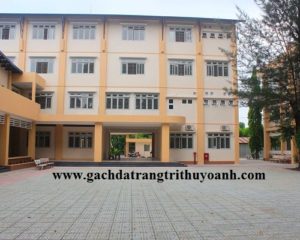 Gạch terrazzo lát sân trường