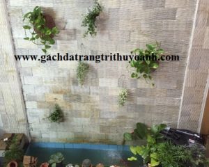 Tiểu cảnh trang trí bằng đá răng lược vàng