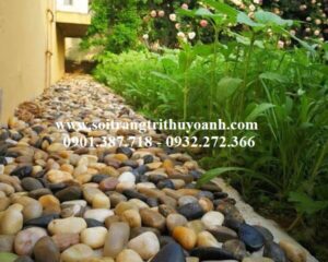 Tô điểm cho cảnh quan sân vườn bằng sỏi bóng nhiều màu