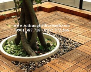 Tô điểm cho chậu cây bằng sỏi bóng nhiều màu